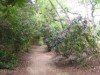 Image 14