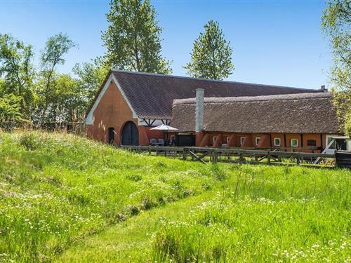 Ferienwohnung - 4 Personen -  - Kystvejen - Egense - 9280 - Storvorde