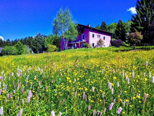 Semesterhus/Semesterlägenhet - 2 personer -  - Riedelsbach - 94089 - Neureichenau