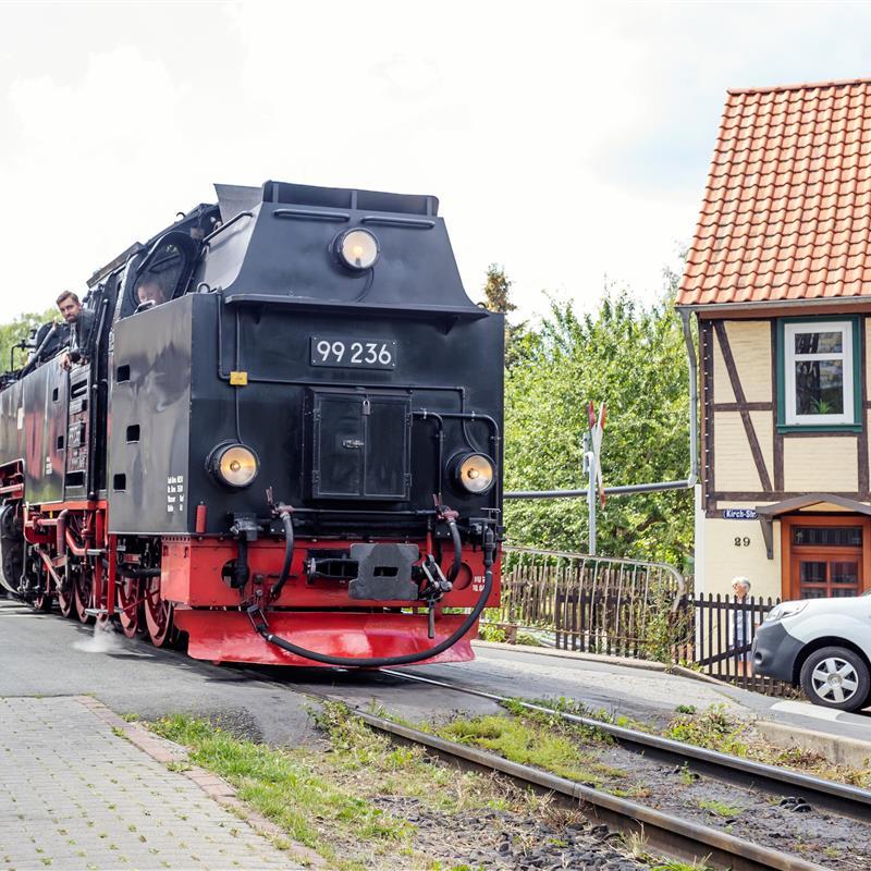 Sommerhus - 8 personer -  - Kirchstraße - 38855 - Wernigerode