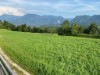Bild 22