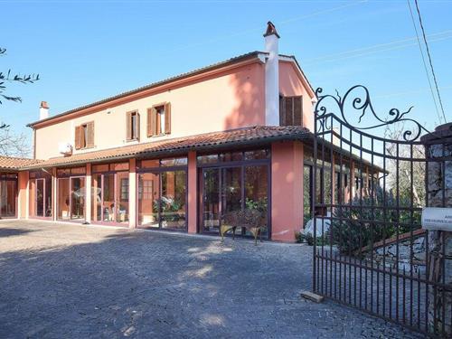Ferieleilighet - 4 personer -  - Via San Martino - Peccioli - 56030 - Selvatelle