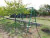 Bild 19