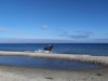 Billede 26