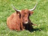 Billede 3
