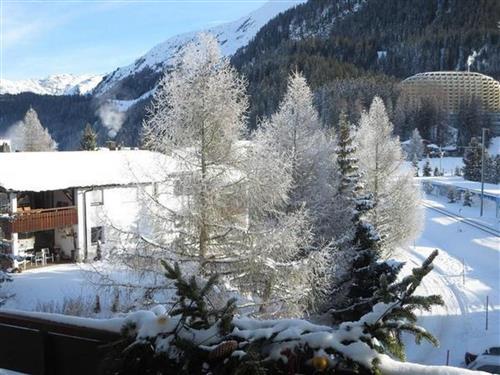 Ferienwohnung - 5 Personen -  - Davos - 7260
