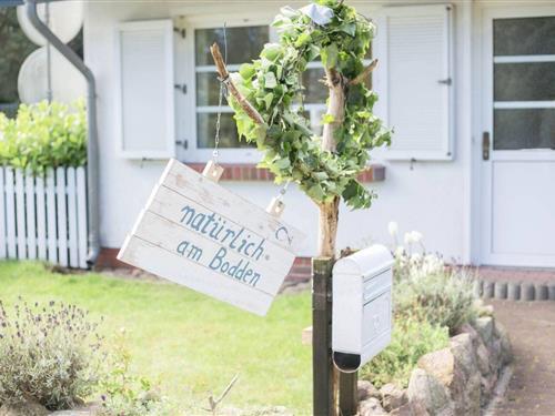 Feriehus - 8 personer -  - Zum Roland - 18356 - Fuhlendorf