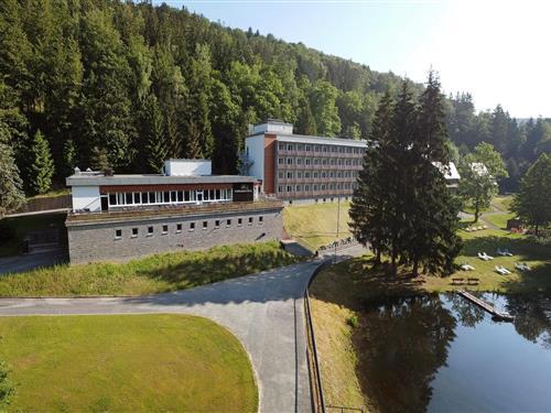 Ferieleilighet - 2 personer -  - 08265 - Erlbach