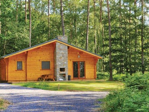 Sommerhus - 8 personer -  - Rue du Village de Vacances - 5670 - Oignies-En-Thierache