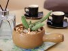 Billede 11