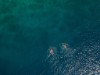 Bilde 27 - Ude