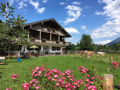 Holiday Home/Apartment - 3 persons -  - Salzburgerstraße - 83435 - Bad Reichenhall