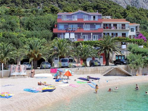 Holiday apartment - 4 persons -  - Caklje - 21327 - Podgora