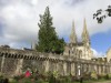 Image 15