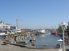 Bild 20