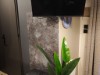 Image 4 - Outside