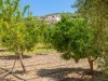 Image 15 - Outside