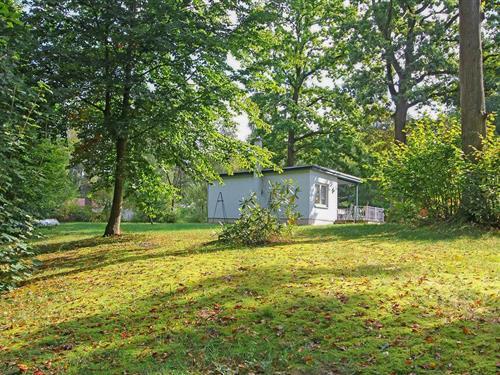 Sommerhus - 4 personer -  - Jakobshagener Straße - 17268 - Boitzenburger Land