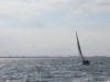 Billede 35