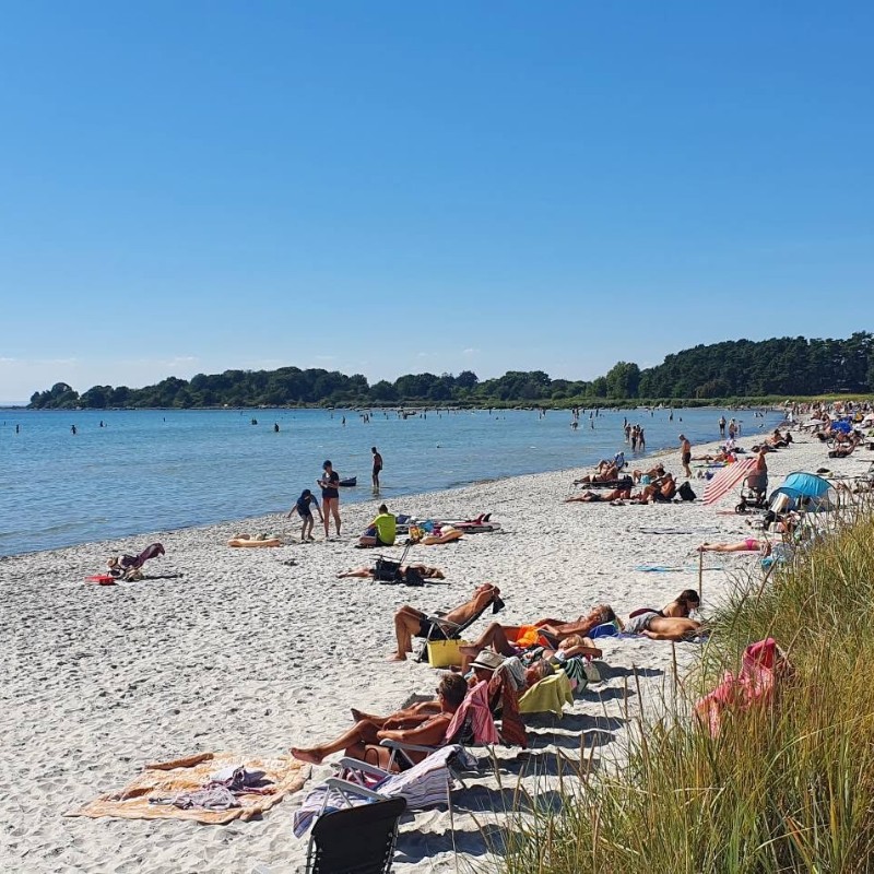 Hytte - 4 personer -  - Sandviksvägen - Sölvesborg S - 294 91