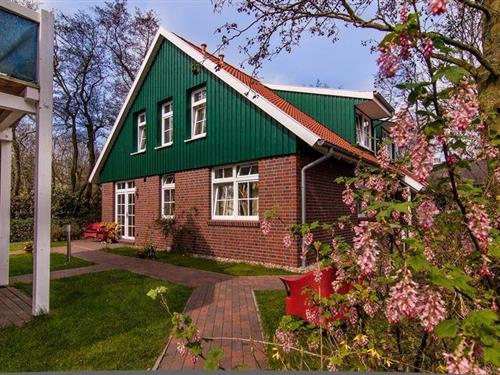 Ferielejlighed - 4 personer -  - Nooderloog - 26474 - Spiekeroog