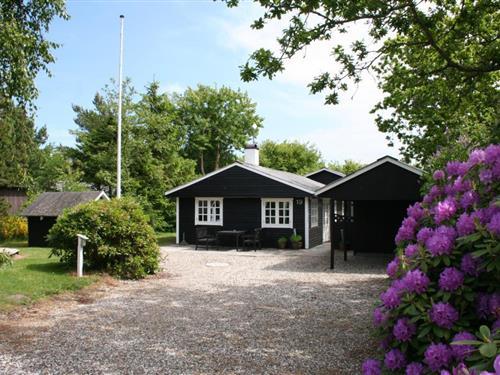 Ferienhaus - 6 Personen -  - Kaprifolievej - Nr. Hede Øst - 6990 - Ulfborg