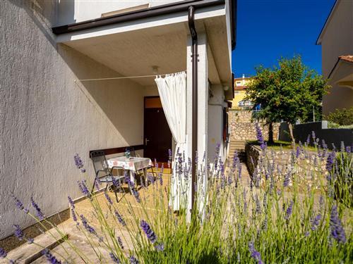 Ferieleilighet - 2 personer -  - Krk/Njivice - 51512