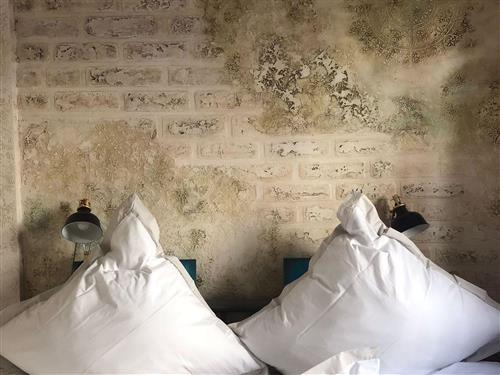 Ferienwohnung - 4 Personen -  - Mandelring - 67433 - Neustadt An Der Weinstraß