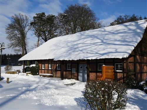 Semesterhus/Semesterlägenhet - 4 personer -  - Zum Golfplatz - 49577 - Ankum