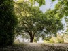 Image 11 - Outside