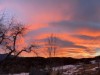 Billede 13