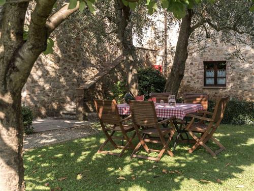 Ferienwohnung - 3 Personen -  - Casole D'elsa - 53031