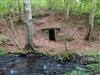 Bild 11 - Aktivitet