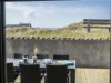Billede 21