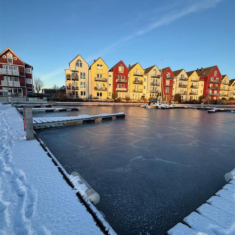 Ferielejlighed - 4 personer -  - Am Holzteich - 17489 - Greifswald