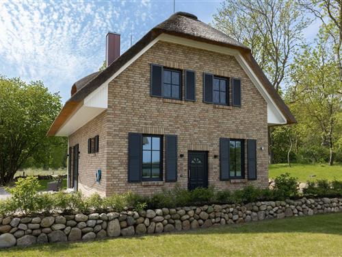 Feriehus - 6 personer -  - Seestraße - 23968 - Hohenkirchen