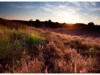 Bilde 32
