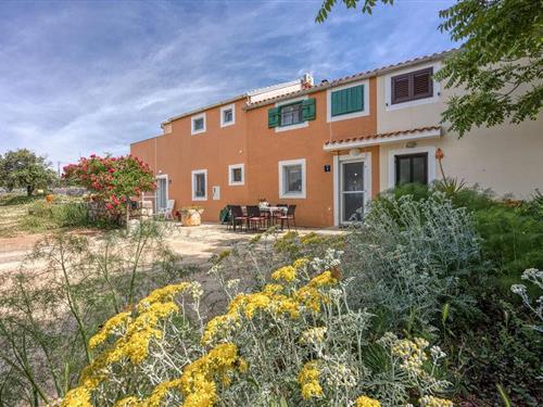 Holiday apartment - 4 persons -  - Obrada Hrgovica - Losinj- Veli Losinj - 51550 - Veli Losinj