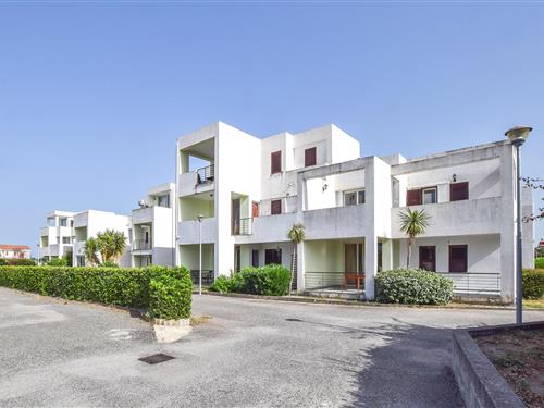 Holiday Home/Apartment - 4 persons -  - Via dei gelsi snc - 88060 - Isca Marina