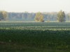 Image 27