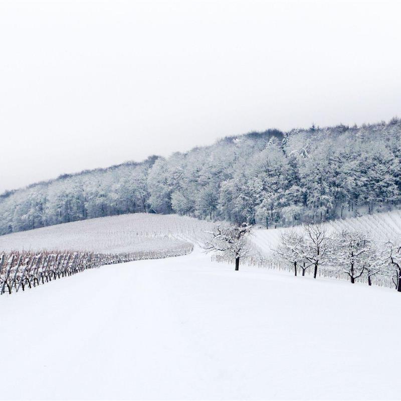 Ferielejlighed - 4 personer -  - Hauptstraße - 74626 - Bretzfeld