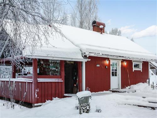 Ferienhaus - 4 Personen -  - Rovaniemi - 96900