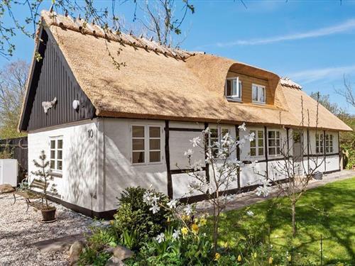 Holiday home - 6 persons -  - Strædet - Holtug - 4660 - Store Heddinge