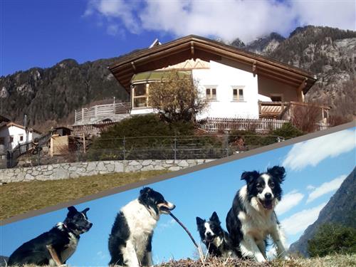 Ferieleilighet - 2 personer -  - Birkach - 6542 - Pfunds