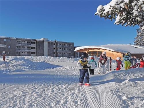 Sommerhus - 4 personer -  - 38410 - Chamrousse