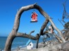 Bild 13