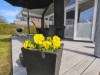 Billede 17 - Terrasse