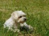Bild 18
