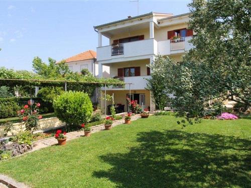 Holiday Home/Apartment - 5 persons -  - Sveti Filip i Jakov - 23207 - Sveti Filip I Jakov