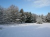 Bild 24